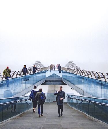 world justice project